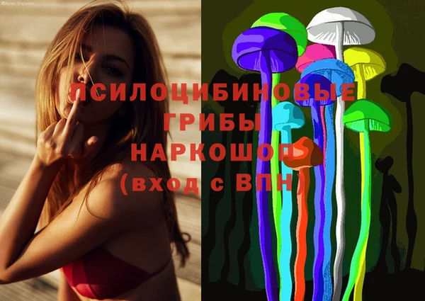 apvp Богородицк