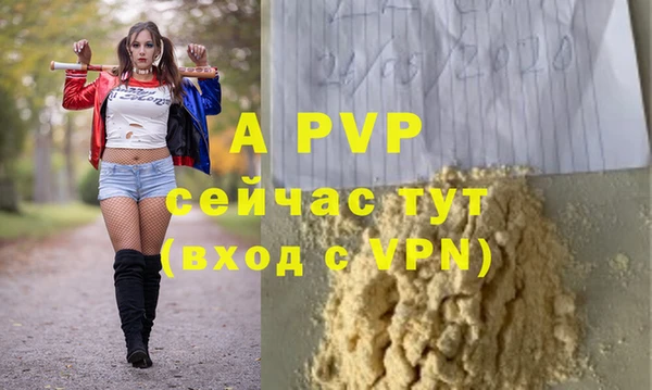 apvp Богородицк