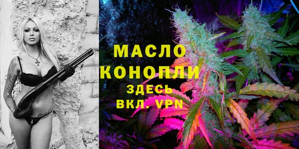 apvp Богородицк